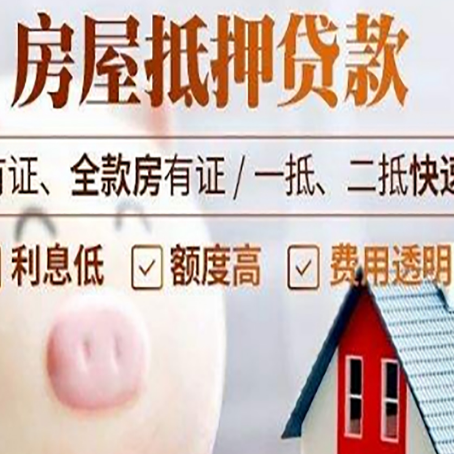 河口贷款助贷公司新渝启服靠谱公司