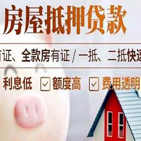 河口贷款助贷公司新渝启服成立时间久