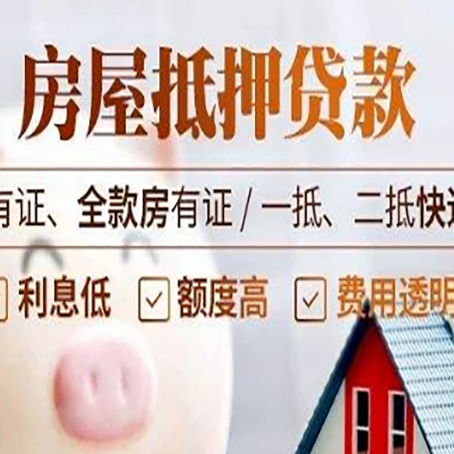 河口贷款中介公司新渝启服本地公司